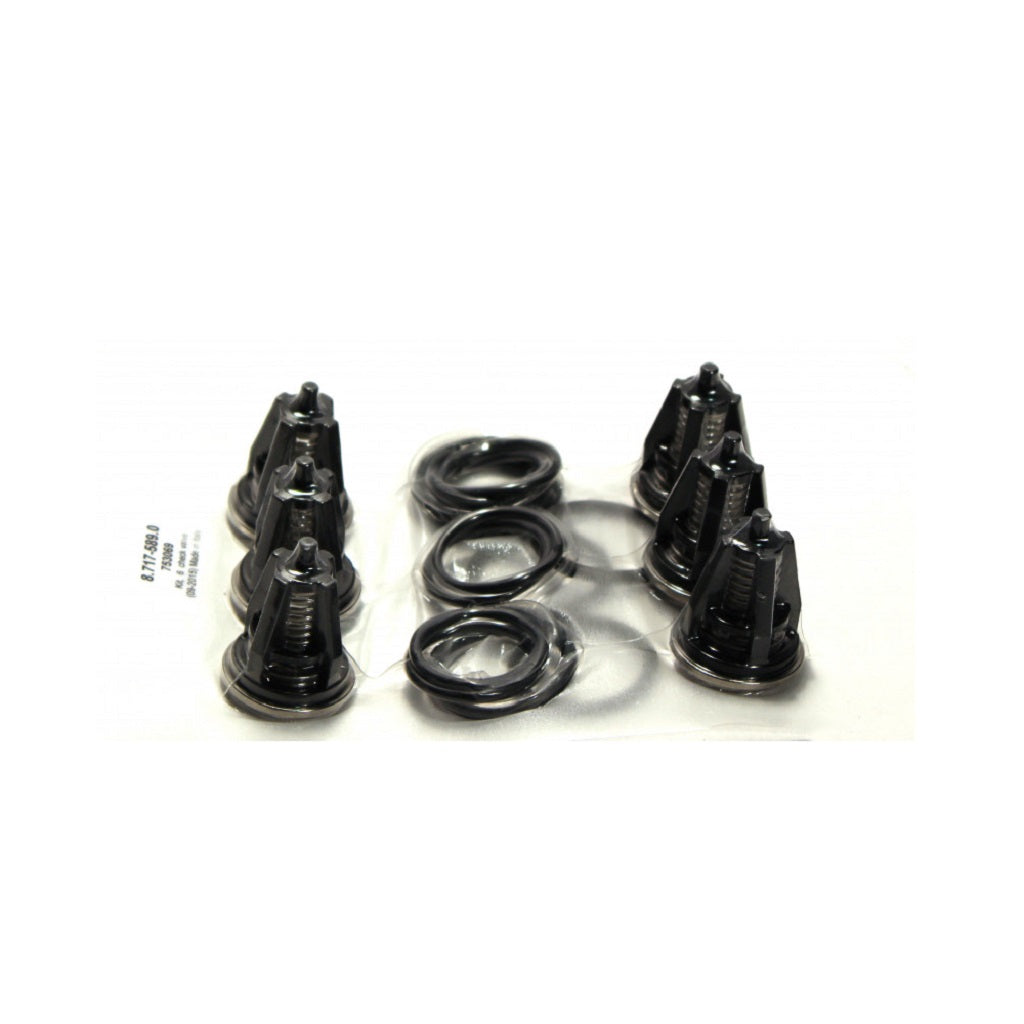 Legacy Check Valve Kits - Hotsy Hawk Landa Karcher Shark
