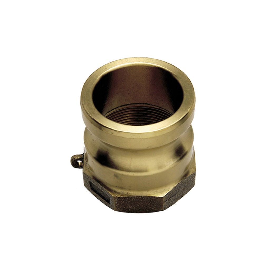 Brass Cam-Lock (male) x Female NPT Thread Type A