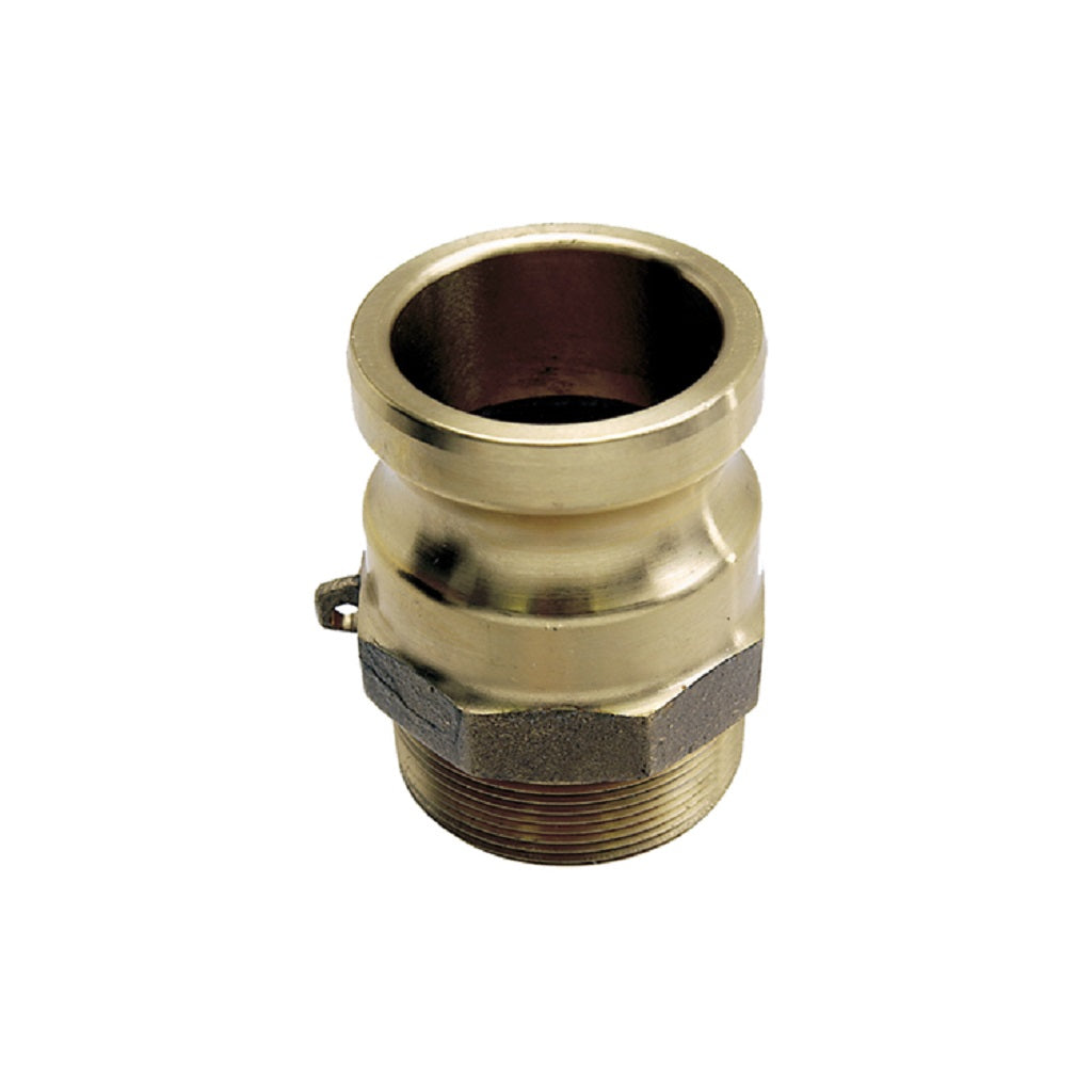 Brass Cam-Lock (male) x Male NPT Thread Type F
