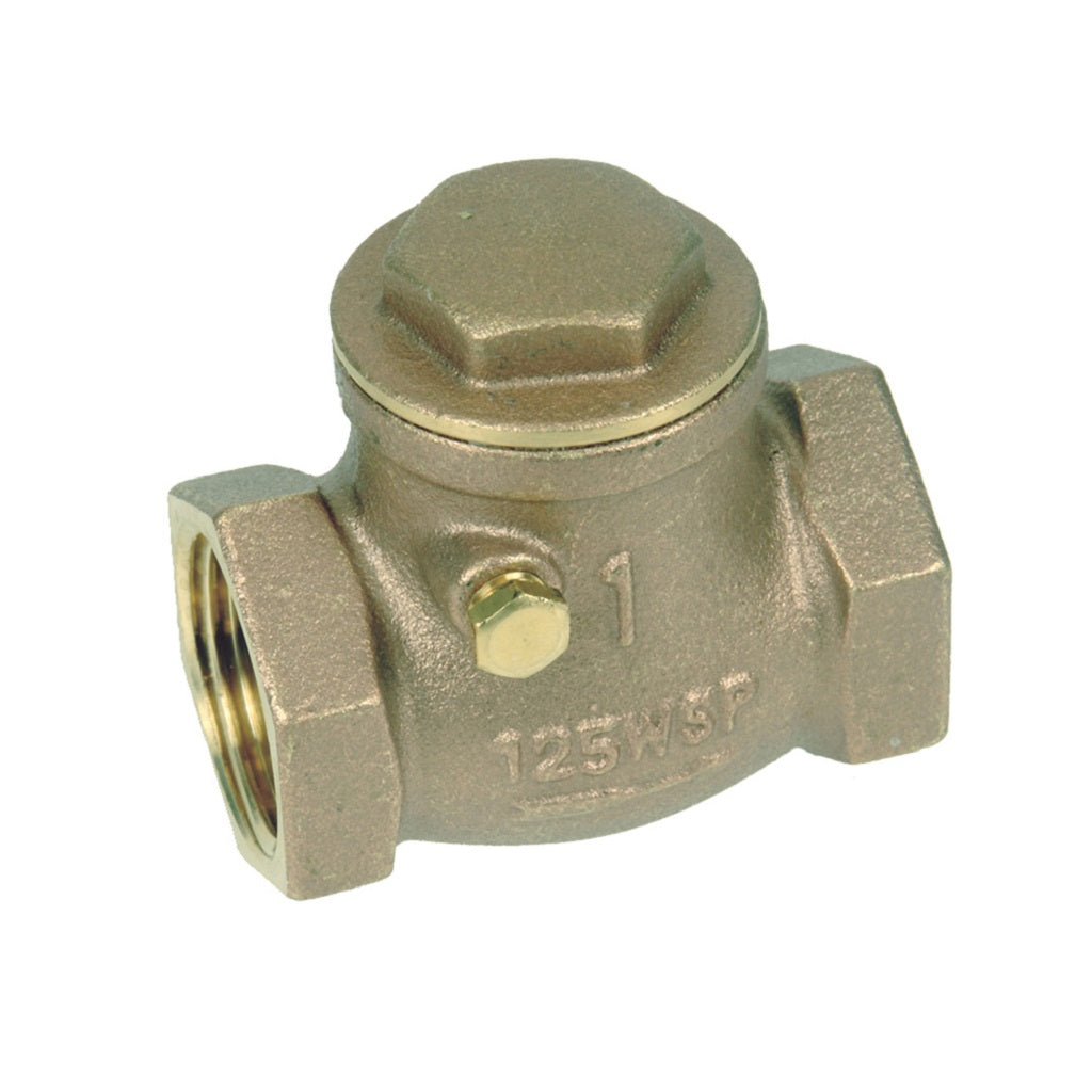 V207 Swing Check Valve Brass